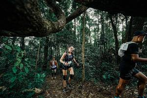 BIB: 
                            <button type="button" onclick="openModal(25391130)" class="btn btn-primary btn-sm float-right btn-popup" data-toggle="modal" data-target=".modal-high-quality">
                        <i class="fas fa-shopping-cart"></i> Add to Cart
                    </button>
                                            <button type="button" onclick="isThisMe(25391130, true)" class="btn btn-success btn-sm float-right btn-popup btn-isme hidden" data-toggle="tooltip" data-placement="bottom" title="นี่คือรูปของคุณใช่ไหม คลิกที่นี่เพื่อเอาเข้าอัลบั้ม">
                        <i class="fas fa-plus"></i> Add to album
                    </button>
                    <button type="button" onclick="isThisMe(25391130, false)" class="btn btn-warning btn-sm float-right btn-popup btn-isnotme hidden">
                        <i class="fas fa-ban"></i> Remove from album
                    </button>